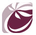 Home 3 iconito2